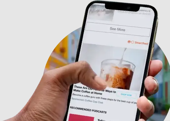 An image of the ADNET Digital Advertising Platform project.